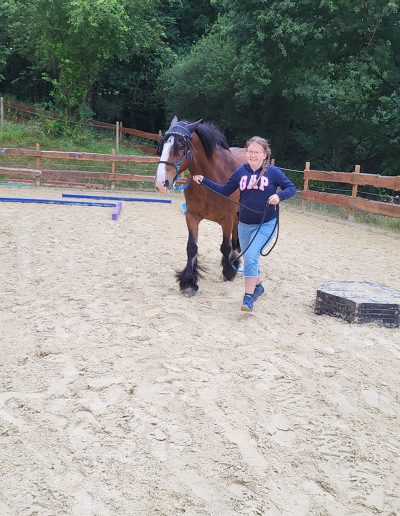 Ein Mädchen führt auf einem sandigen Reitplatz ein großes, braunes Pferd mit breiter weißer Blesse am Zügel, während sie fröhlich lächelnd auf den Betrachter zugeht. Im Hintergrund sind ein Holzzaun und dichte grüne Bäume zu sehen.
