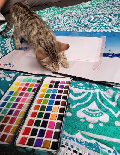 Ein kleines, getigertes Kätzchen steht neugierig auf einem Blatt weißen Papiers