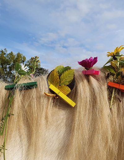Helle Mähne eines Pferdes, die liebevoll mit bunten Wäscheklammern und frischen Sommerblumen und Gräsern dekoriert ist.