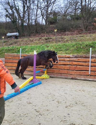 Ein Mann in einer leuchtend orangefarbenen Jacke steht in einem Sandplatz und beobachtet, wie ein dunkles Pony gerade über ein kleines, buntes Hindernis springt. Im Hintergrund sind eine Holzbande, ein grüner Hügel und Bäume zu sehen.