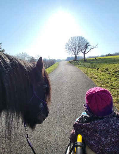 Ein kleines Kind mit einer lila Mütze sitzt in einem Rollstuhl und blickt auf einen dunklen Ponykopf, der sich von links nähert. Die Szene zeigt die beiden auf einem asphaltierten Weg, der durch grüne Felder führt, mit strahlendem Sonnenschein von oben.
