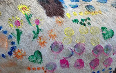 Projekttage auf der Pferdeinsel