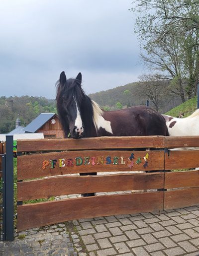 Der Eingang der Pferdeinsel mit Nanuk und Willi