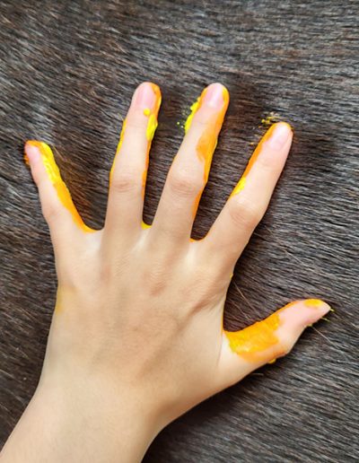 Das Bild zeigt eine Hand die gelb bemalt ist für einen künstlerischen Handabdruck auf dem dunklen Fell eines Pferdes.