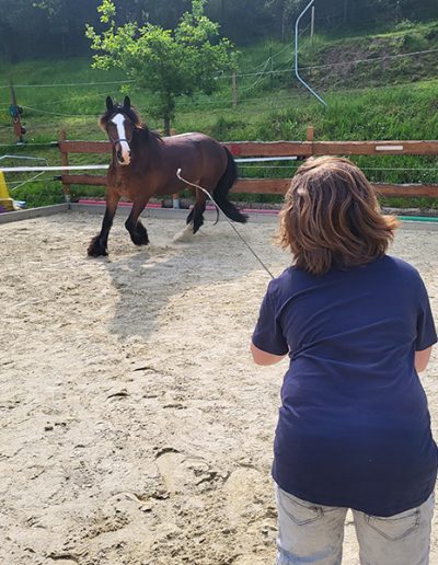 Eine Frau steht mit dem Rücken zum Betrachter in einem sandigen Reitplatz und hält eine lange, dünne Gerte. Sie blickt auf ein großes, braunes Pferd mit einer breiten weißen Blesse, das in leichtem Trab oder einer Gangart vor ihr steht. Im Hintergrund sind ein Holzzaun, grüne Vegetation und ein bewaldeter Hang zu sehen.