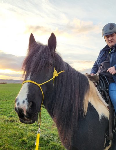 Ein Mann mit Reithelm sitzt auf einem dunklen Pferd mit einer langen Mähne und gelbem Halfter, während sie auf einer grünen Wiese stehen. Das Licht des Sonnenuntergangs oder Sonnenaufgangs erhellt den Himmel im Hintergrund.