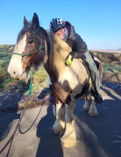 Eine Person mit Helm und gelben Handschuhen sitzt auf einem großen, braun-weiß gescheckten Pferd, das auf einer asphaltierten Straße steht. Das Pferd schaut zur Seite, während im Hintergrund eine offene, sonnige Landschaft zu sehen ist.