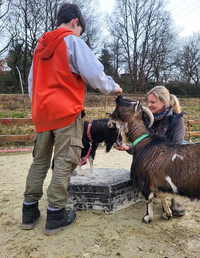 Der Jugendliche in einem Pullover mit rotem Körper und grauen Ärmeln füttert eine kleine Ziege.
