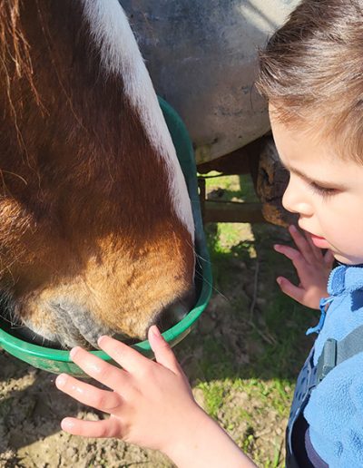 Ein kleines Kind in einem blauen Oberteil beobachtet neugierig, wie ein braun-weißes Pferd aus einem hellgrünen Futtereimer frisst.