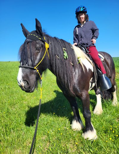 Eine Person mit blauem Helm sitzt auf einem großen schwarz-weißen Pferd, das auf einer sonnigen, grasbewachsenen Wiese steht.
