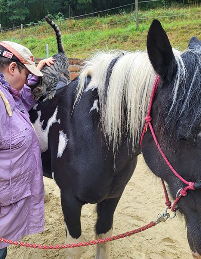 Eine Person in einer lilafarbenen Jacke steht neben einem schwarz-weißen Pferd