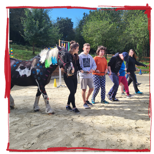 Heilpadagogisches-Begleiten-mit-dem-Pferd-Kleingruppe