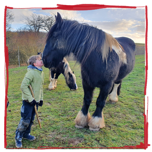 Heilpadagogisches-Begleiten-mit-dem-Pferd-Zusammensein