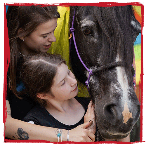 Heilpadagogisches-Begleiten-mit-dem-Pferd-Einzel