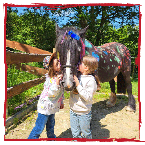 Heilpadagogisches-Begleiten-mit-dem-Pferd-Kleingruppe2