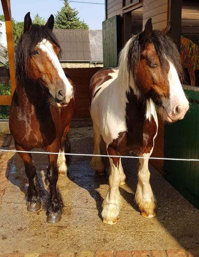 Navajo und Nscho-Tschi