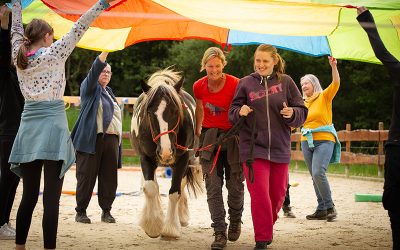 Ferienfreizeit auf der Pferdeinsel