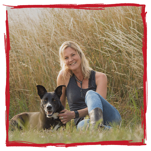 Kim-Michel mit Pferden