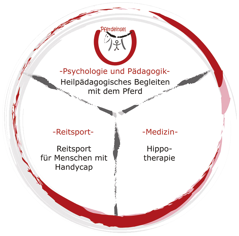 Die 3 Schwerpunkte des therapeutischen Reitens