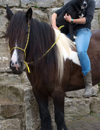 Kim, die Leiterin der Pferdeinsel